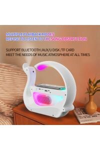 Kuğu Nemlendirici 6'sı 1 Arada RGB Işık Kablosuz Şarj Bluetooth Hoparlör